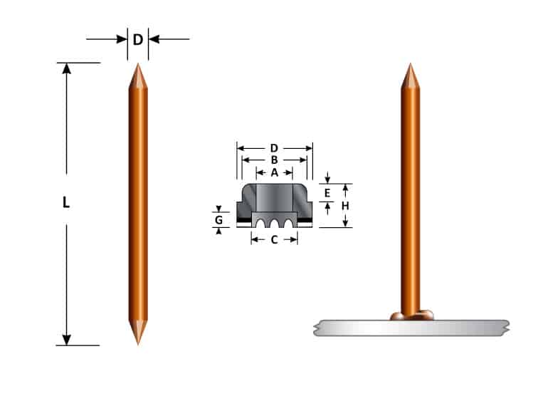 double pointed arc type